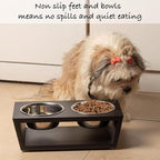 4" Tall Elevated Dog Bowls for Small Dogs, Food and Water Bowl Set by Pawfect Pets (Black)