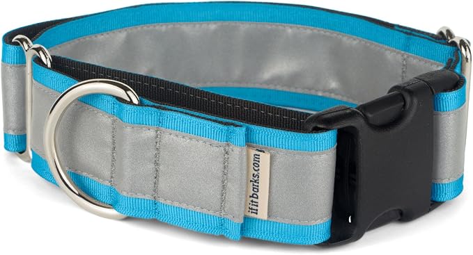 If It Barks - 1.5" Reflective Martingale Collar with Quick Snap Buckle for Dogs - Adjustable - Made in USA - Strong, Durable, and Comfy - Ideal for Training - Fits Most Breeds - Small, Turquoise
