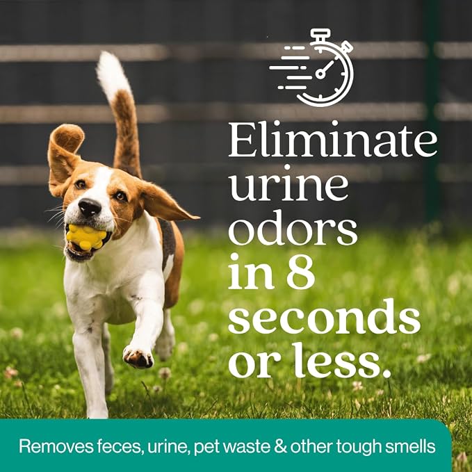 Eco Strong Outdoor Odor Eliminator | Outside Dog Urine Enzyme Cleaner – Powerful Pet, Cat, Animal Scent Deodorizer | Professional Strength for Yard, Turf, Kennels, Patios, Decks (Gallon with Sprayer)