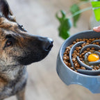 Messy Mutts Interactive Slow Feeder Dog Bowl, 3 Cup | Round Slow Feeder Dog Bowl With Raised Maze Pattern For Wet Or Dry Food, Holds Up To 3 Cups