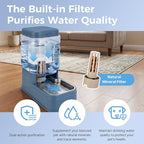 Automatic Cat Feeder and Water Dispenser with Stainless Steel Bowl with Ice Pack Gravity Food Feeder and Waterer Set Feeding Raised Bowls with Filter for Dog 1.3 Gallon x 2(Blue)