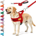 BEAUTYZOO Dog Harness for Large Dogs, No Pull Dog Harness and Leash Set, Soft Escape Proof Puppy Vest Harness with Handle, Reflective Lightweight Step in Harness for Girl Boy Dogs, Red L