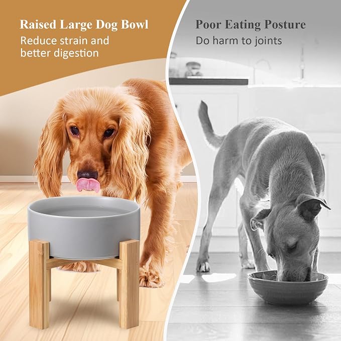 Raised Ceramic Large Dog Bowl - Heavy Weighted Dog Dish with Bamboo Stand - Elevated for Comfortable Feeding - 8.3" W x 8" H - 4.5 Cups (68 fl oz) - Green