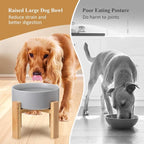 Raised Ceramic Large Dog Bowl - Heavy Weighted Dog Dish with Bamboo Stand - Elevated for Comfortable Feeding - 8.3" W x 8" H - 4.5 Cups (68 fl oz) - White