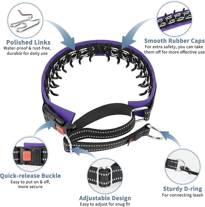 Mayerzon Martingale No Pull Collar for Medium Large Dogs | Purple Trim, L | Patented Anti Pull Dog Collar with Buckle for Walking Training, Neoprene Padding, Reflective Stitching, Adjustable, Sturdy
