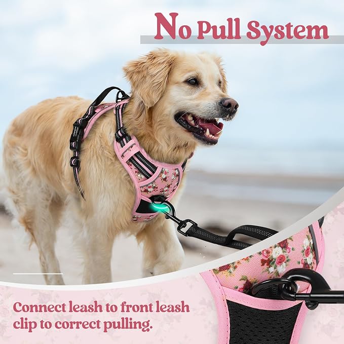rabbitgoo Dog Harness, No Pull for Large Dogs with 2 Leash Clips, Pet Vest | No Choke with Handle, Adjustable Soft Padded, Reflective, Easy Control for Walking, Pink Rose, X-Large