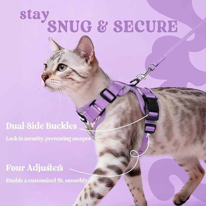 rabbitgoo Cat Harness and Leash Set, Escape Proof Vest, Purr-ple Daisy | Soft Breathable Mesh, Easy Adjustable Fit, Snap Buckles, Sturdy Clip, Reflective Strips, for Kittens & Small Cats Walks, Xxs