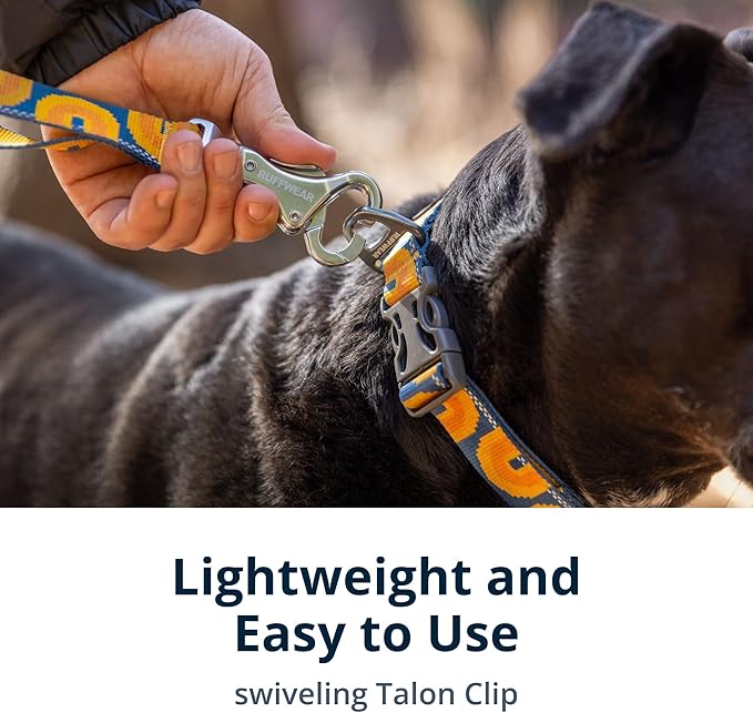 Ruffwear, Crag Dog Leash, 6 ft Reflective Everyday Lead, Swiveling Talon Clip, Padded Handle, Hands‑Free Waist‑Worn Option, Traffic Handle with Accessory Loop, Rising Wave