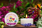 Pet Odor Candles Made with Natural Soy Wax, Plant Based, Dog and Cat Friendly Scented Mini Candles, Winter Mix Variety Pack of 3