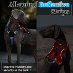 rabbitgoo Escape Proof Dog Harness for X-Large, No Pull with Lift Handle | No Escape, Full Soft Padded, Reflective Adjustable Vest, Leash Clip for Walking Hiking Training, Sky Blue & Red, X-Large