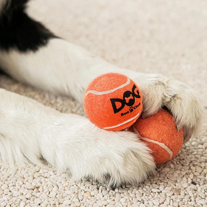 INSUM Small Tennis Balls for Dogs 6 Pack 2.0" Squeaky Dog Balls for Small Dogs
