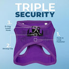 Best Pet Supplies Voyager Step-in Air All Weather Mesh Harness and Reflective Dog 5ft Leash Combo with Neoprene Handle, for Small, Medium and Large Breed Puppies - Purple, XXX-Small