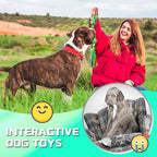 SHARLOVY XL Dog Chew Toys for Aggressive Chewers Large Breed, 14 Pack Tough Indestructible Dog Toys for Aggressive Chewers, Durable Puppy Chew Toys for Teething, Heavy Duty Cotton Rope Toys