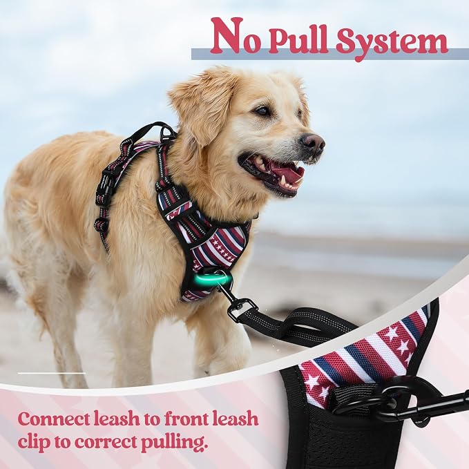 rabbitgoo Dog Harness, No Pull for Large Dogs with 2 Leash Clips, Pet Vest | No Choke with Handle, Adjustable Soft Padded, Reflective, Easy Control for Walking, Red Stripe, Large