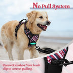 rabbitgoo Dog Harness, No Pull for Large Dogs with 2 Leash Clips, Pet Vest | No Choke with Handle, Adjustable Soft Padded, Reflective, Easy Control for Walking, Red Stripe, Large