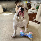 Haute Diggity Dog Chewy Vuiton Bone Plush Squeaky Dog Toy, Soft Durable Designer-Inspired Stuffed Puppy Chew Toys for Small & Medium Dogs, Machine-Washable (Pink Ombre) Large