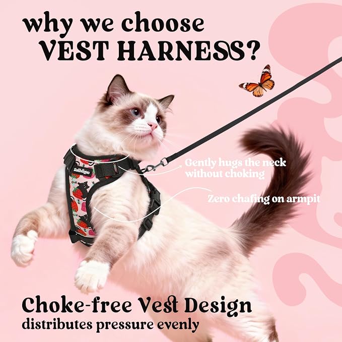 rabbitgoo Cat Harness and Leash Set, Escape Proof Vest, Berry Pounce | Soft Breathable Mesh, Easy Adjustable Fit, Snap Buckles, Sturdy Clip, Reflective Strips, for Medium to Large Cats Walks, M