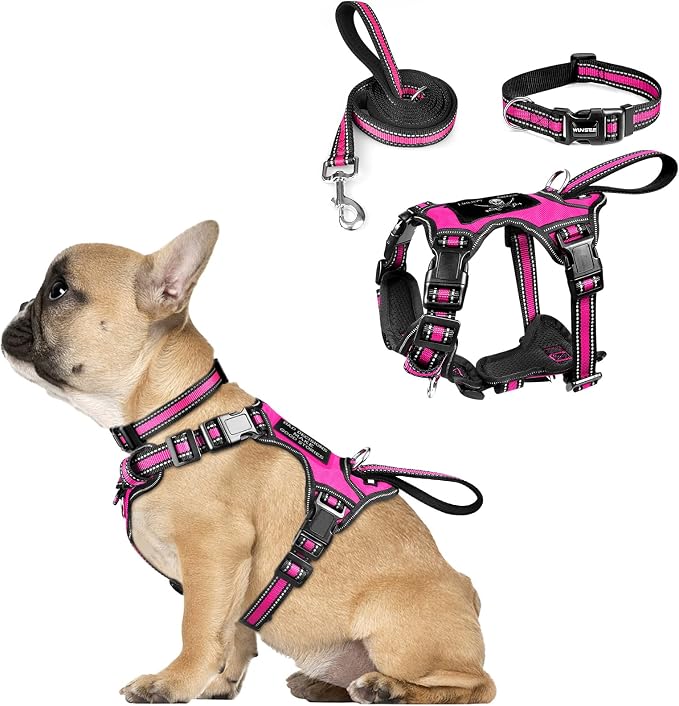 WINSEE Pet Harness Collar and Leash Set, All-in-one Reflective Dog Harness No Pull with Adjustable Buckles for Puppies, Small, Medium, Large, and Extra-Large Dogs (Small, Rosy)