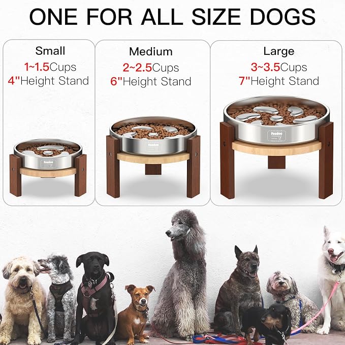 Elevated Dog Bowl Stand, 6'' Height Raised Stand for Medium Dogs, Includes 2Cups Stainless Steel Slow Feeder Dog Bowl, Durable Solid Hardwood