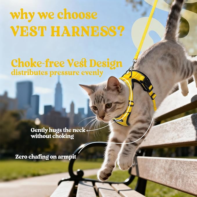 rabbitgoo Cat Harness and Leash Set, Escape Proof Vest, Yellow | Soft Breathable Mesh, Easy Adjustable Fit, Snap Buckles, Sturdy Clip, Reflective Strips, for Average Cats Walks, S
