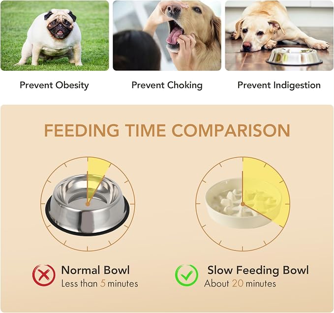 Havniva Elevated Slow Feeder Dog Bowls, Ceramic Dog Bowl Slow Feeder Set | 1.6 Cups Raised Slow Feeding Bowl for Medium Breed, 7.3” Dog Water Bowl with Wooden Stand, Puzzle Dog Slow Feeder, Non-slip
