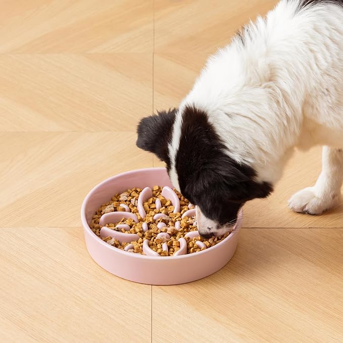 vancasso Ceramic Slow Feeder Dog Bowls, Puzzle Dog Food Bowls with Floral Maze, Anti -Slip Pet Food Dish for Large Breed, 3 Cups, Pink