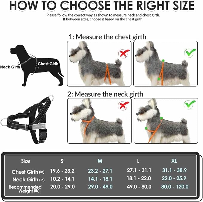 Lukovee No Pull Dog Harness and Leash Set - Adjustable Soft Padded Vest with Front Clip for Easy Control, Reflective Durable Harness for Safe Daily Training Walking for Medium Large Dogs (M, Black)
