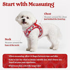rabbitgoo Dog Harness Medium Sized and Leash Set, Step-in Puppy Pet Vest | Light, Soft, Breathable Air Mesh, Easy on and Remove with Hook & Loop, Secure Reflective for Walking, Apple Pups L