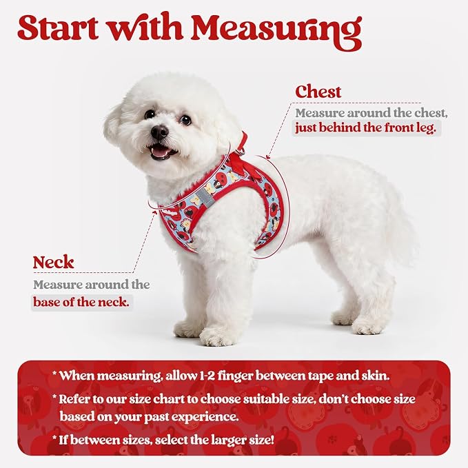 rabbitgoo Dog Harness Medium Sized and Leash Set, Step-in Puppy Pet Vest | Light, Soft, Breathable Air Mesh, Easy on and Remove with Hook & Loop, Secure Reflective for Walking, Apple Pups L