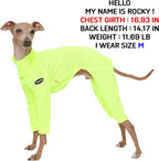D Doggy Star Italian Greyhound Clothes Stretchy Neon Onesie Spring Summer (M,Onsi Ne Yellow)