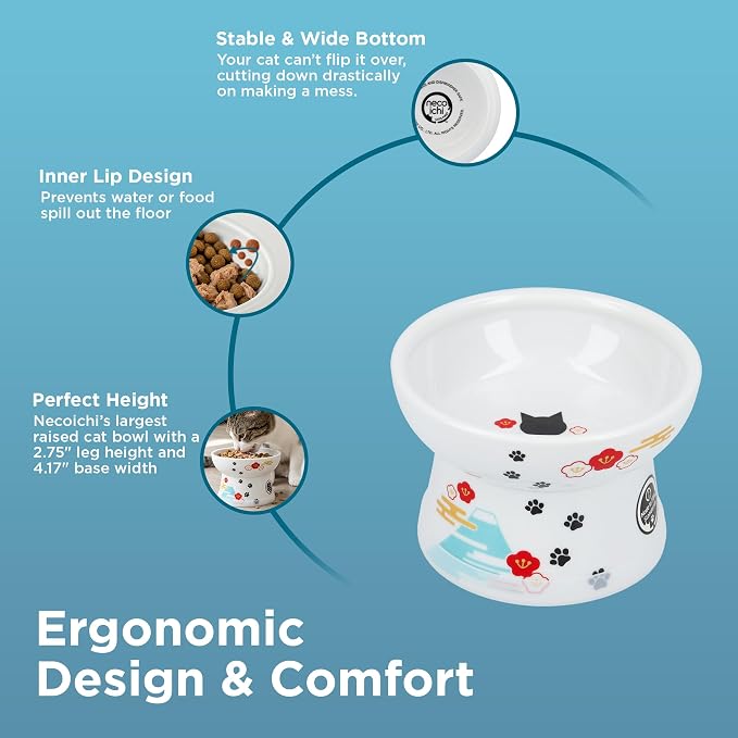 Necoichi Ceramic Elevated Cat Food Bowl (Fuji, Regular Flat)