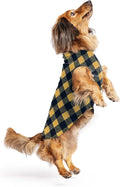 Goldpaw Stretch Fleece Dog Sweater - with Spandex for 4-Way Stretch - Soft, Comfortable Dog Coat - Machine Washable - Made in the USA - Gold Buffalo Check - Size 12