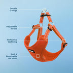 Voyager Step-in Flex Adjustable Dog Harness - Orange, X-Small | 13 - 16" in Chest, Fully Adjustable, Reflective Bands, All Weather Breathable Air Mesh, Lightweight, Fast Drying