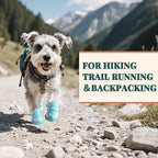 Dog Shoes for Small Dogs, Outdoor Dog Boots & Paw Protectors for Hot Pavement, Winter Snow Hiking, Breathable Dog Booties, Indoor Hardfloors Anti Slip Sole Blue Size 3