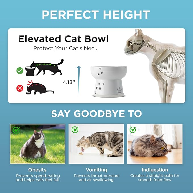 NECOICHI Raised Cat Water Bowl, Elevated, with Measurement Lines, Dishwasher and Microwave Safe (Cat, Extra Tall) White