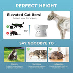 NECOICHI Raised Cat Water Bowl, Elevated, with Measurement Lines, Dishwasher and Microwave Safe (Cat, Extra Tall) White