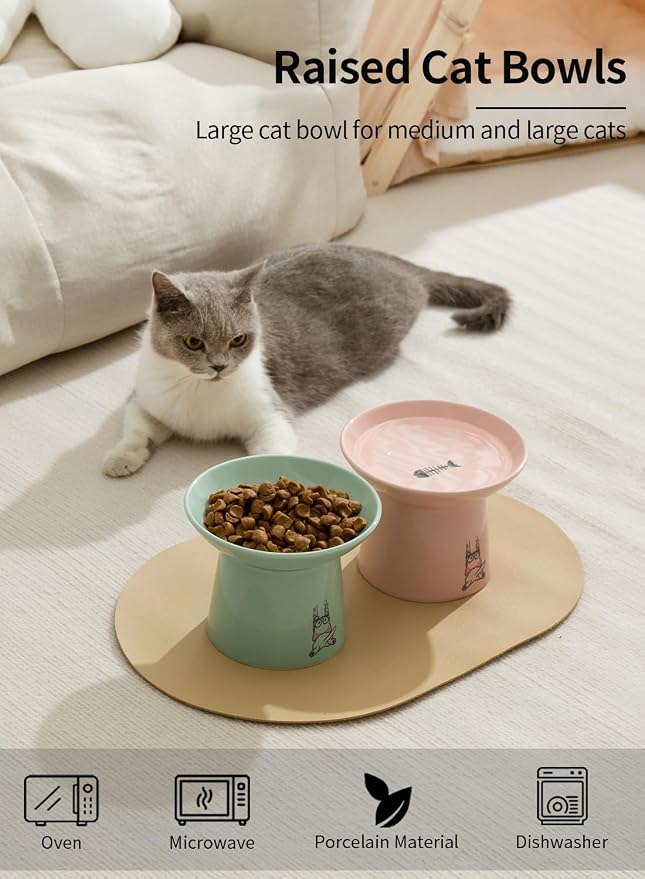 6.5 Inch Extra Wide Ceramic Elevated Cat Bowls, Raised Pet Bowl Set | Whisker Fatigue, for Elder Big Cats Small Dogs, Set of 2, Green & Pink