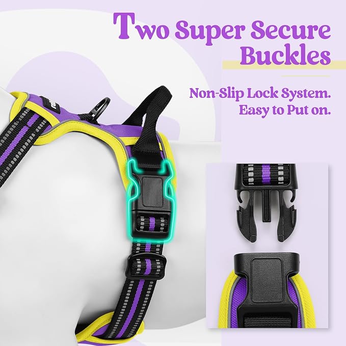 rabbitgoo Dog Harness No Pull with 2 Leash Clips, Adjustable Soft Padded, Reflective Oxford No Choke Pet Vest with Easy Control Handle for Large Dogs, Purple & Yellow, L | No Choke with Handle, Adjustable Soft Padded, Reflective, Easy Control for Walki...