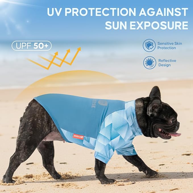 KYEESE 2Pack UV Protection Dog Shirt, UPF 50+ Cooling Dog T Shirts for Small Dogs Boy, Breathable Reflective Dogs Sun Shirts with Sleeves Summer Pet Clothes, Blue, L