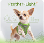 Eagloo Small Dog Harness and Leash Set, Step in Extra Small Puppy Pet Vest | Light, Soft, Breathable Air Mesh, Easy on and off with Hook & Loop, Reflective for Safe Walking, Green, XXS