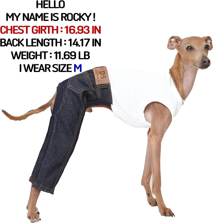 D Doggy Star Italian Greyhound Clothes Sleeveless Jeans Onesie Outfit Whippet for Dog Coat (S,Blue Jean)