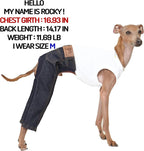 D Doggy Star Italian Greyhound Clothes Sleeveless Jeans Onesie Outfit Whippet for Dog Coat (XL,Blue Jean)