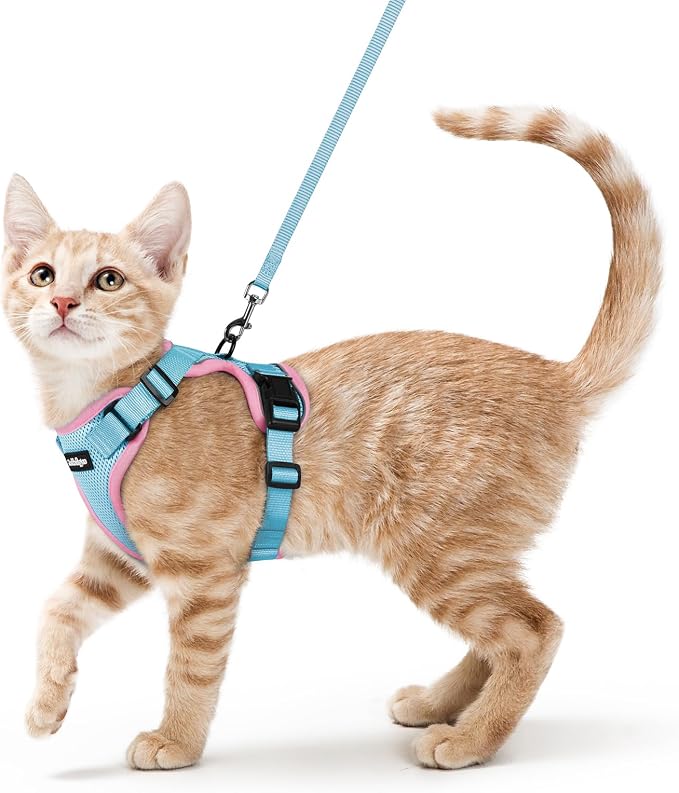 rabbitgoo Cat Harness and Leash Set, Escape Proof Vest, Light Blue & Pink | Soft Breathable Mesh, Easy Adjustable Fit, Snap Buckles, Sturdy Clip, Reflective Strips, for Average Cats Walks, S
