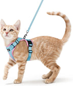 rabbitgoo Cat Harness and Leash Set, Escape Proof Vest, Light Blue & Pink | Soft Breathable Mesh, Easy Adjustable Fit, Snap Buckles, Sturdy Clip, Reflective Strips, for Small & Average Cats Walks, Xs