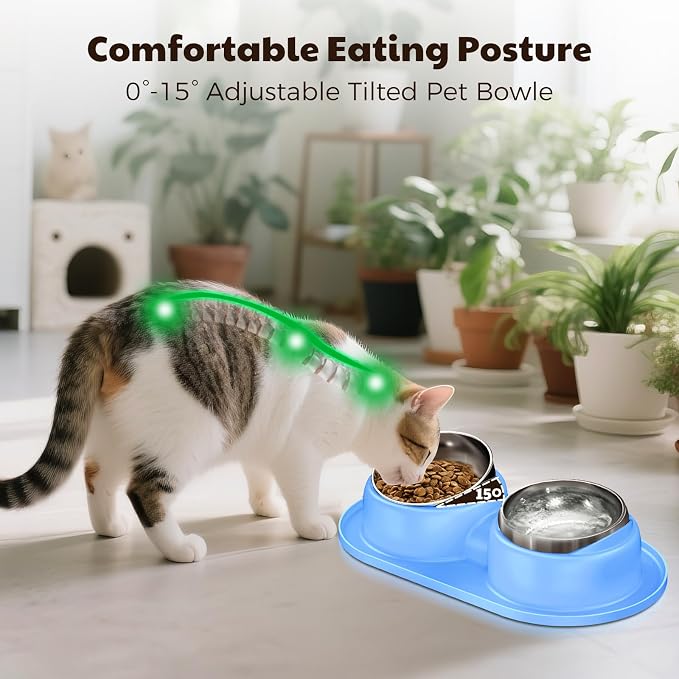 Cat Bowls 2 Stainless Steel Bowl for Pet Dog Water and Food Feeder with Non Spill Skid Resistant Silicone Mat,Tilted Bowls Elevated Anti Vomiting, Non-Slip Base, Ant Proof Food & Water.Blue