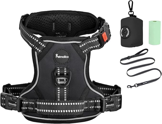 Petmolico No Pull Dog Harness Set with Leash Attachment Easy Control Handle Reflective Harness Vest Small Breed, Puppy Vest and Leash Set with Poop Bag Holder, Small - Black