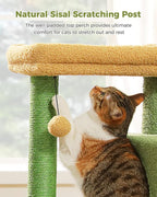 Small Cat Tree for Kittens, 32 in Cat Tower with 2 Cozy Condos | Multi-Level Cat Tree with Scratching Posts, Soft Padded Perch, 2 Dangling Toys