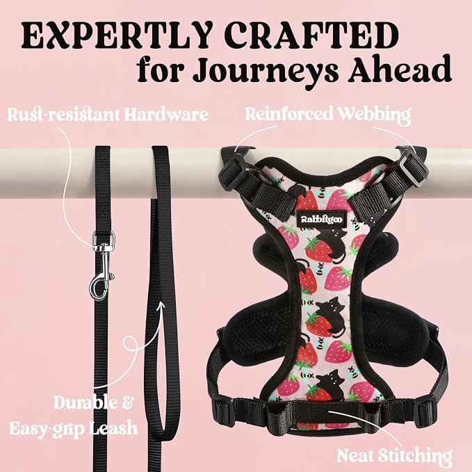 rabbitgoo Cat Harness and Leash Set, Escape Proof Vest, Berry Pounce | Soft Breathable Mesh, Easy Adjustable Fit, Snap Buckles, Sturdy Clip, Reflective Strips, for Small & Average Cats Walks, Xs