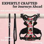rabbitgoo Cat Harness and Leash Set, Escape Proof Vest, Berry Pounce | Soft Breathable Mesh, Easy Adjustable Fit, Snap Buckles, Sturdy Clip, Reflective Strips, for Small & Average Cats Walks, Xs