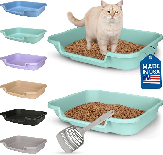KittyGohere Senior Cat Litter Box Large with Scoop, 2 Pack Green | Open Top Low Entrance Kitty Litter Box With Long-handle Jumbo Scoop, Lightweight Low Entry Litters Box, Durable, Made in USA